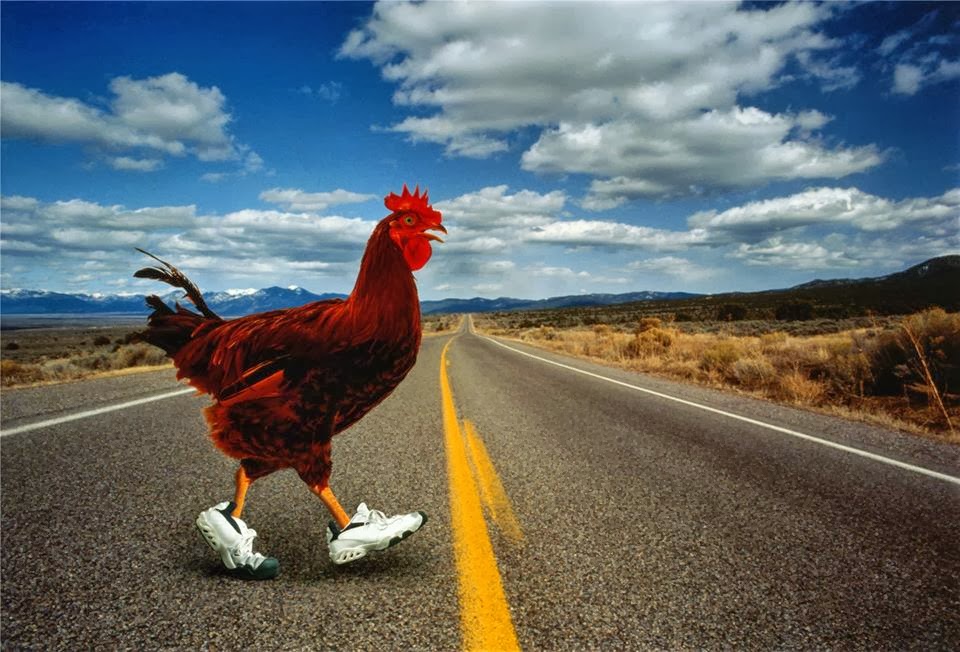 chickenXroad